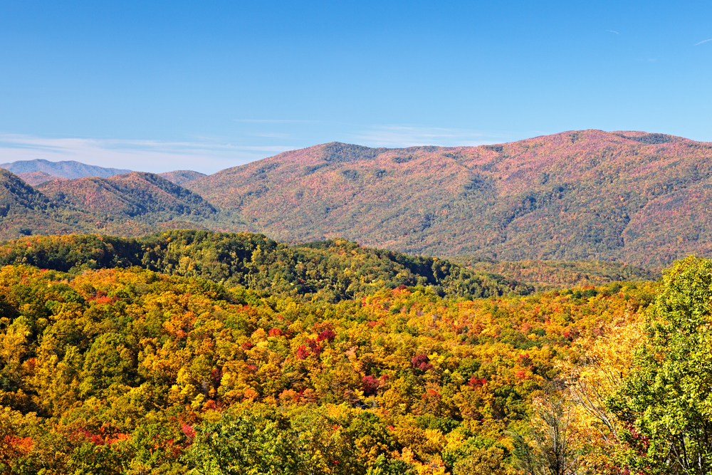 4 Ways to Enjoy Pigeon Forge Fall Foliage