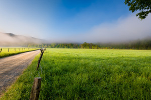 Road leading to Cades Cove in the Smoky Mountains