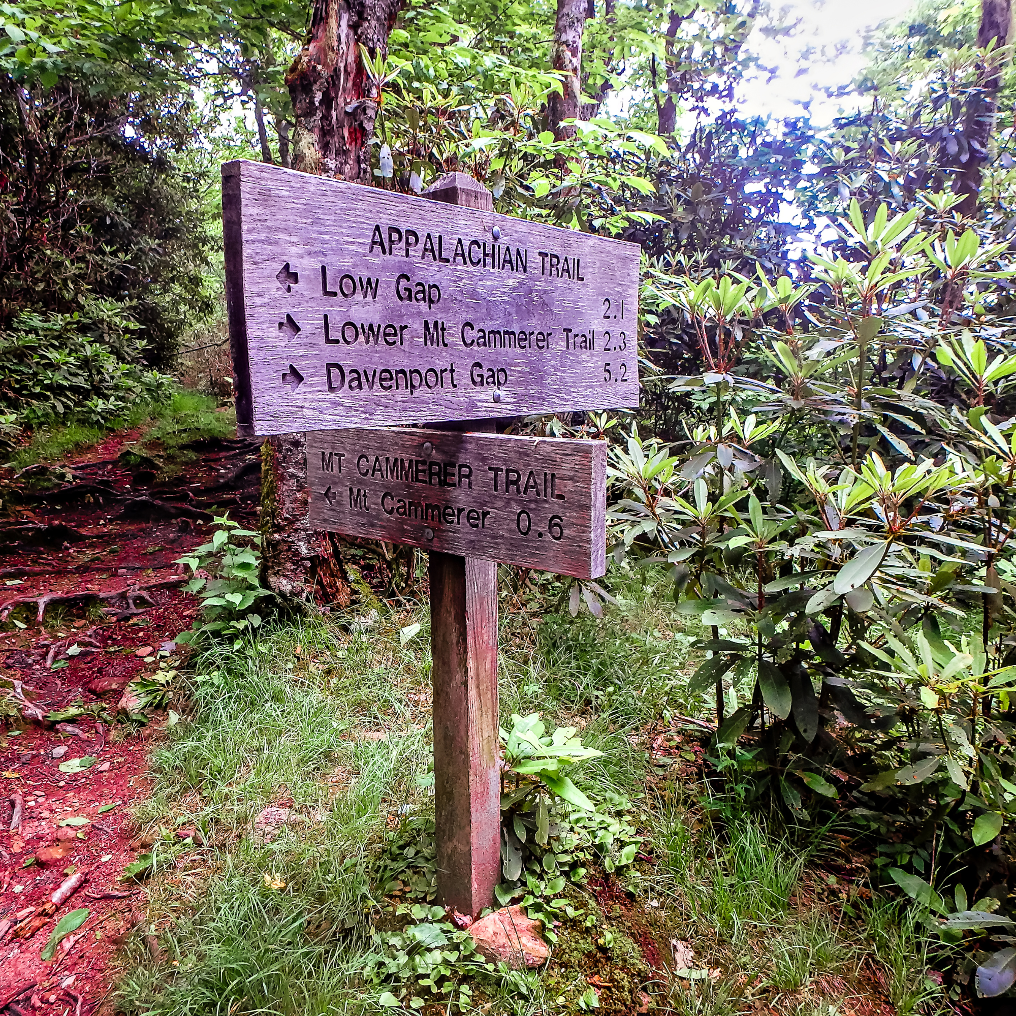 Smoky Mountain Hiking Trail
