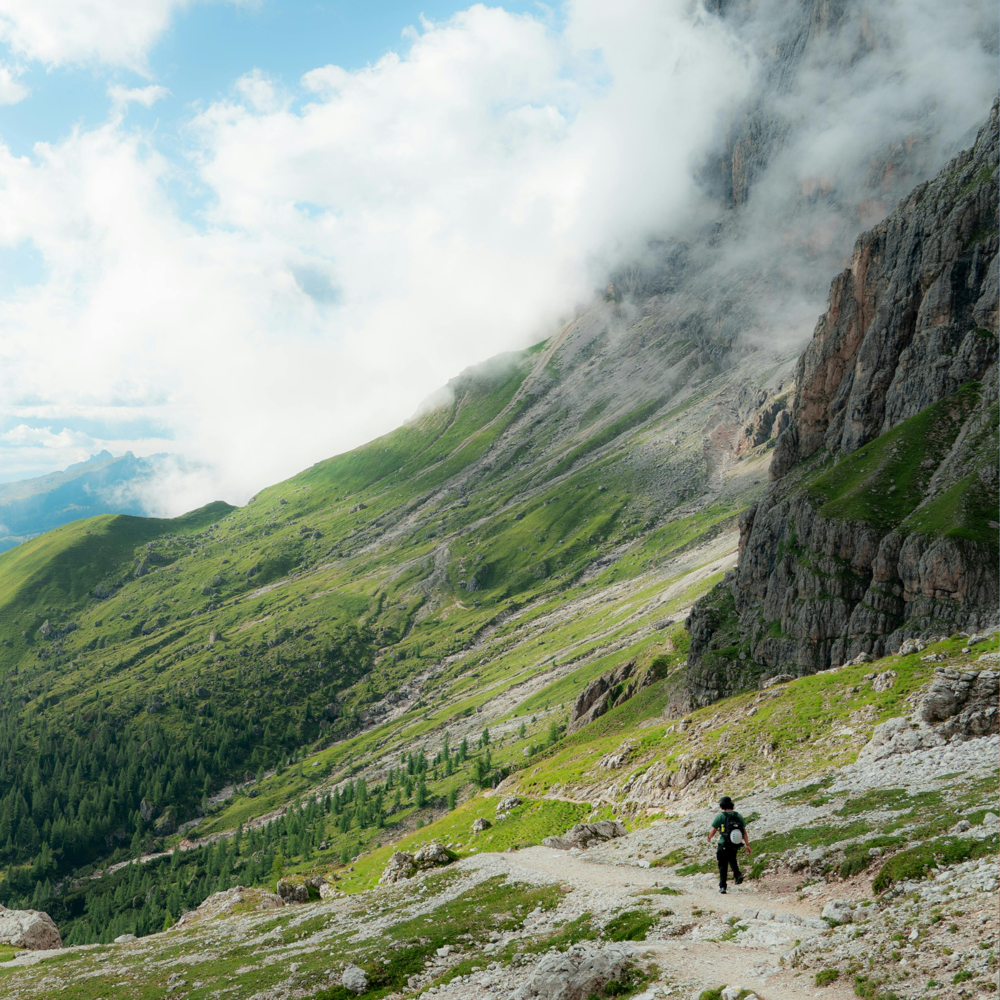 Panoramic views from a high-elevation hike in the Smokies